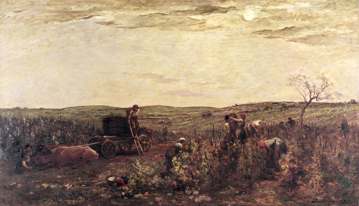 Die Weinlese in Burgund, 1863 von Charles Francois Daubigny