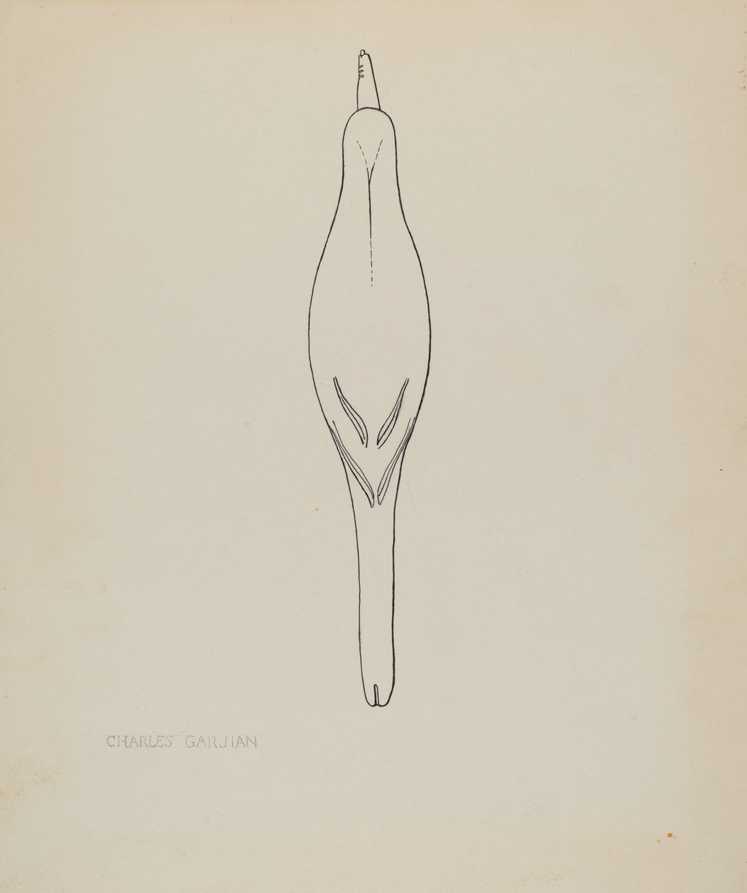 Lockvogel (Rotflügel-Schwarzvogel) von Charles Garjian