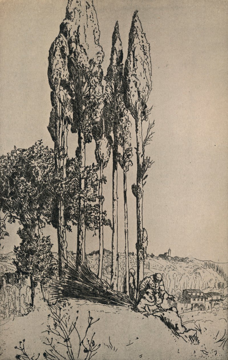 Zypressen bei Siena von Charles Holroyd
