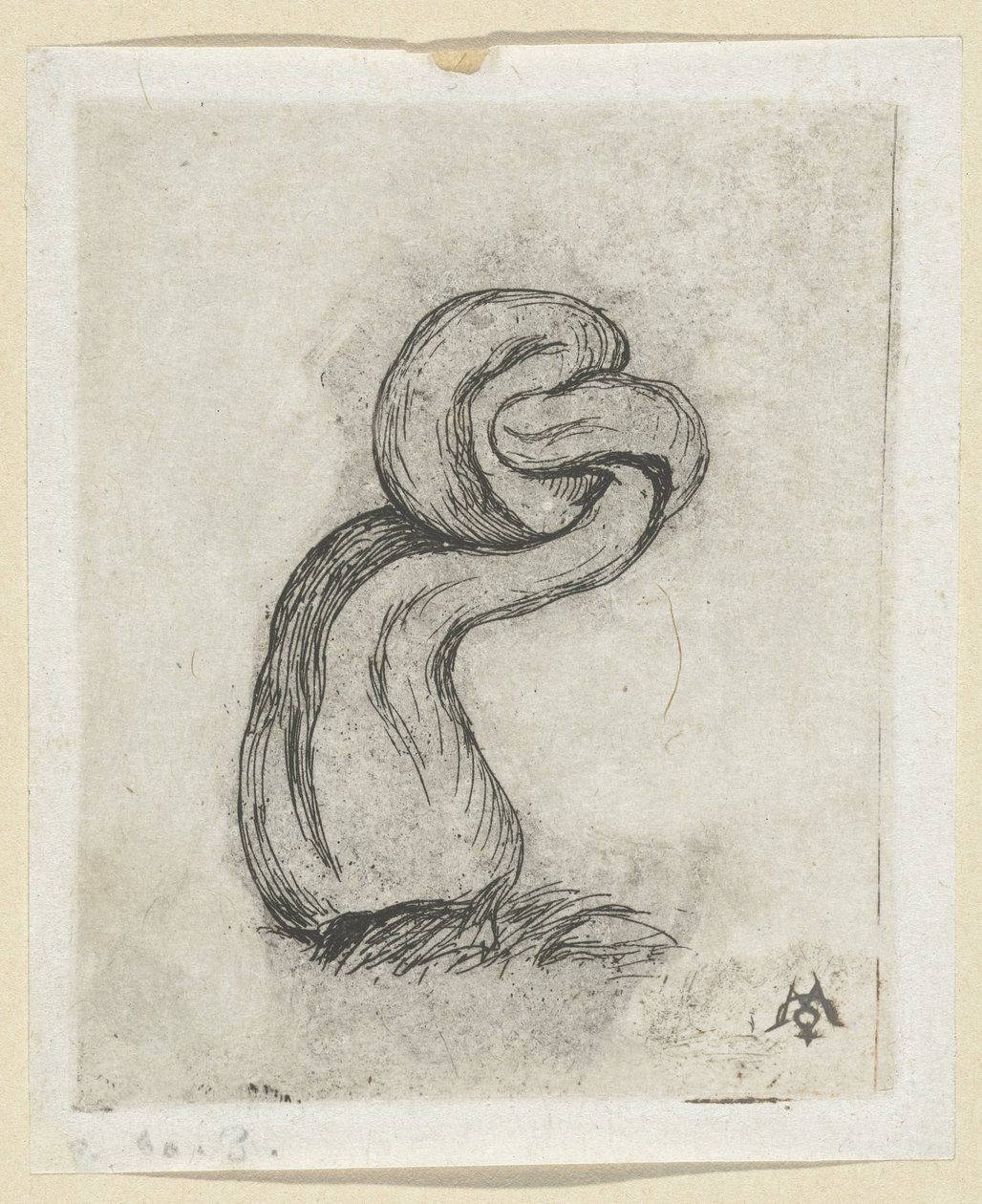 Missgestalteter Pilz von Charles Meryon