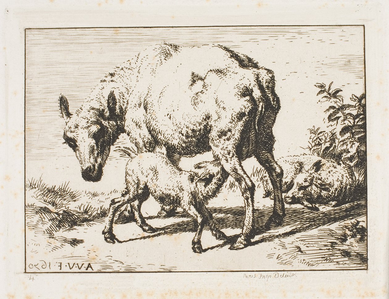 Das Mutterschaf mit zwei Lämmern von Charles Meryon