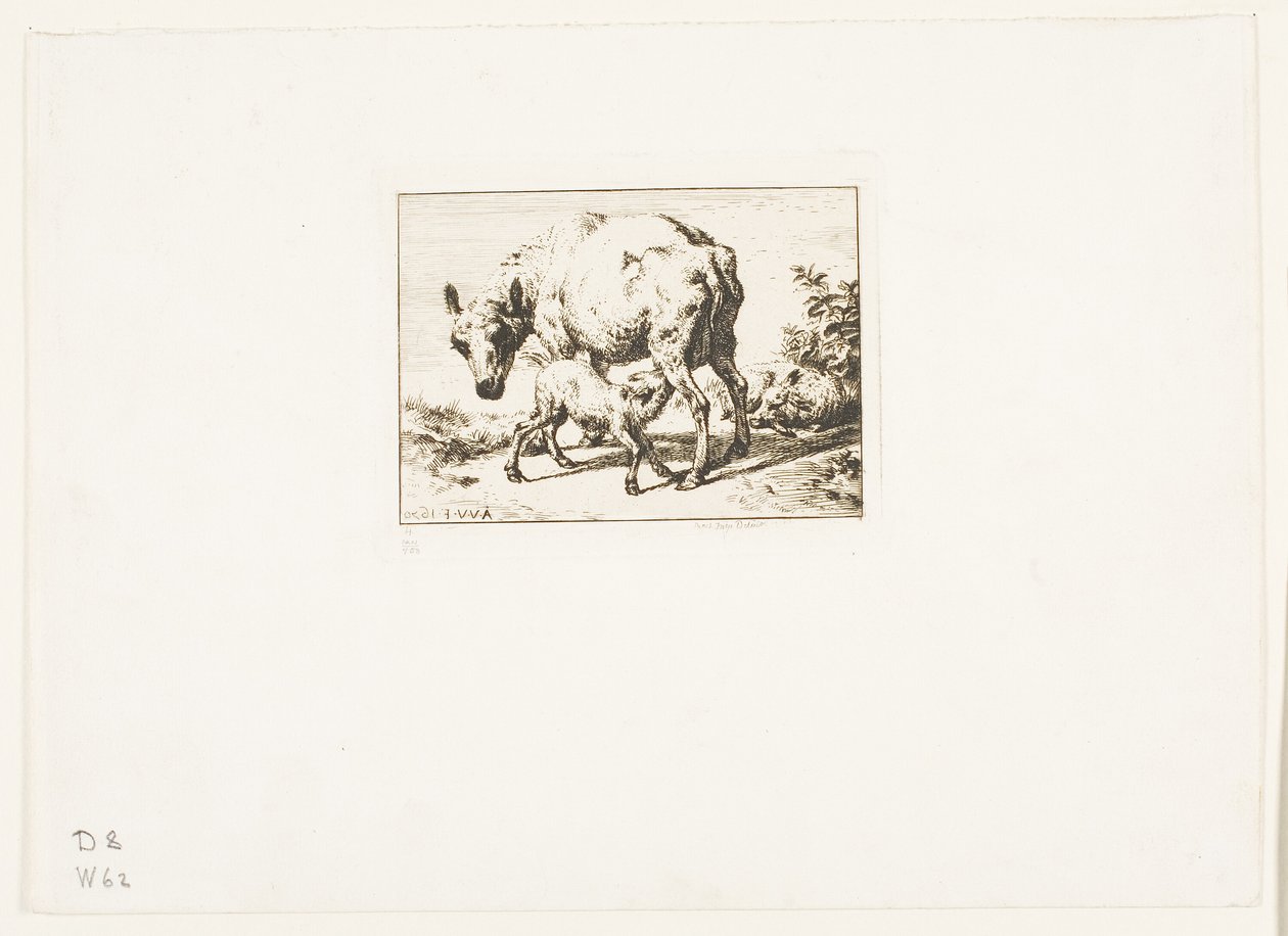 Das Mutterschaf mit zwei Lämmern von Charles Meryon