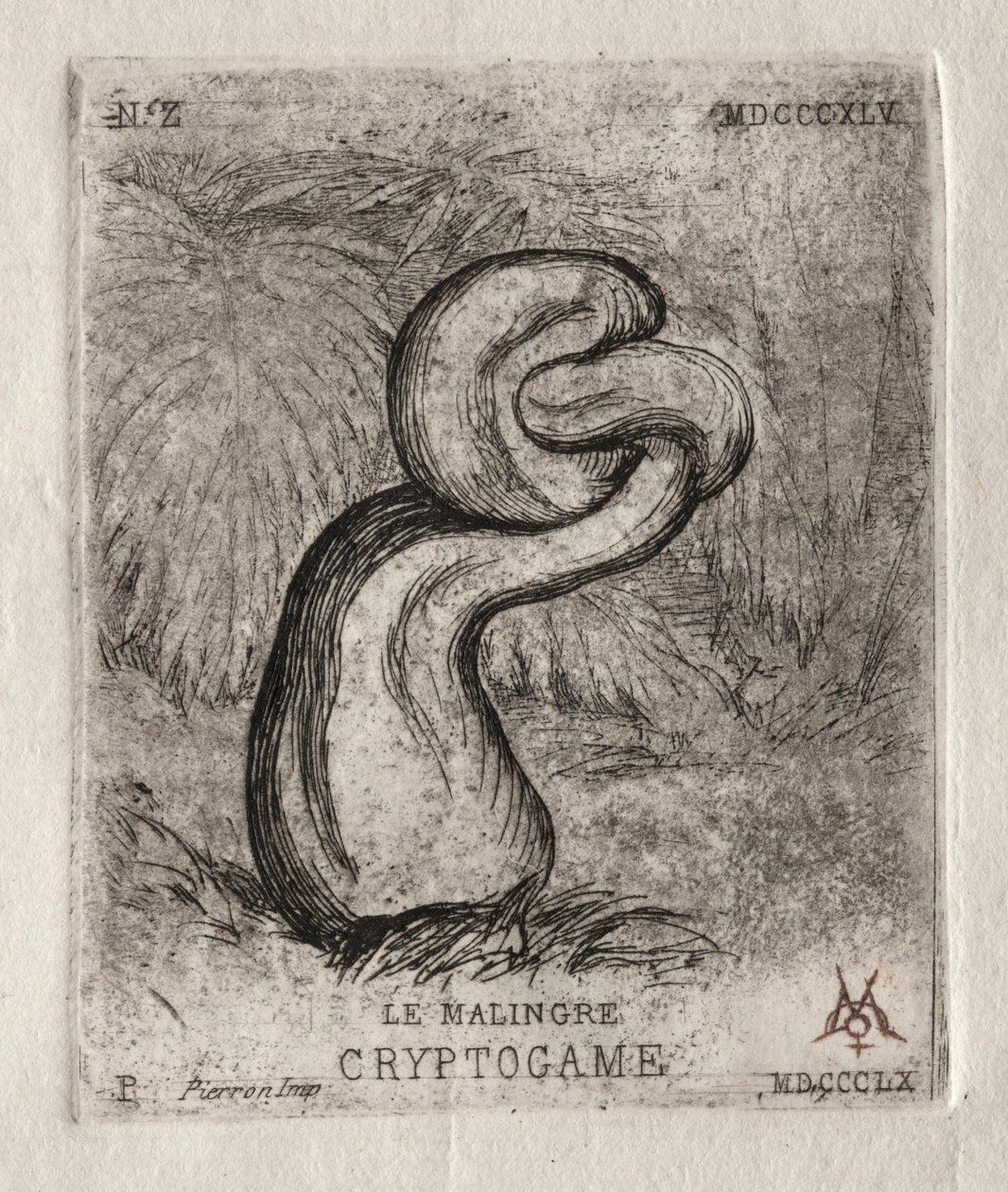 Der kränkliche Kryptogam, 1860 von Charles Meryon