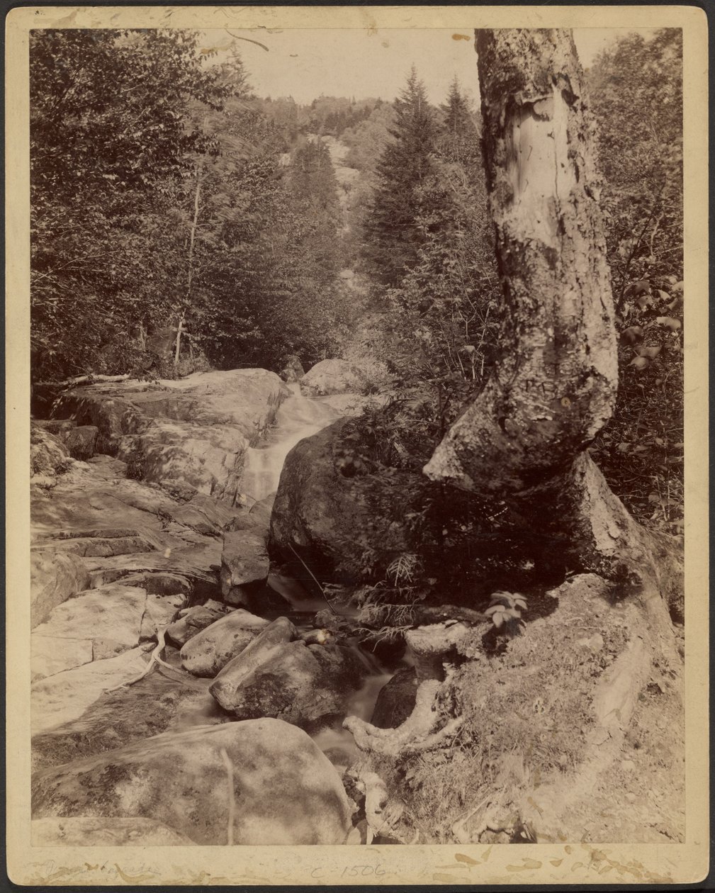 [Wasserfall] von Charles P. Hibbard