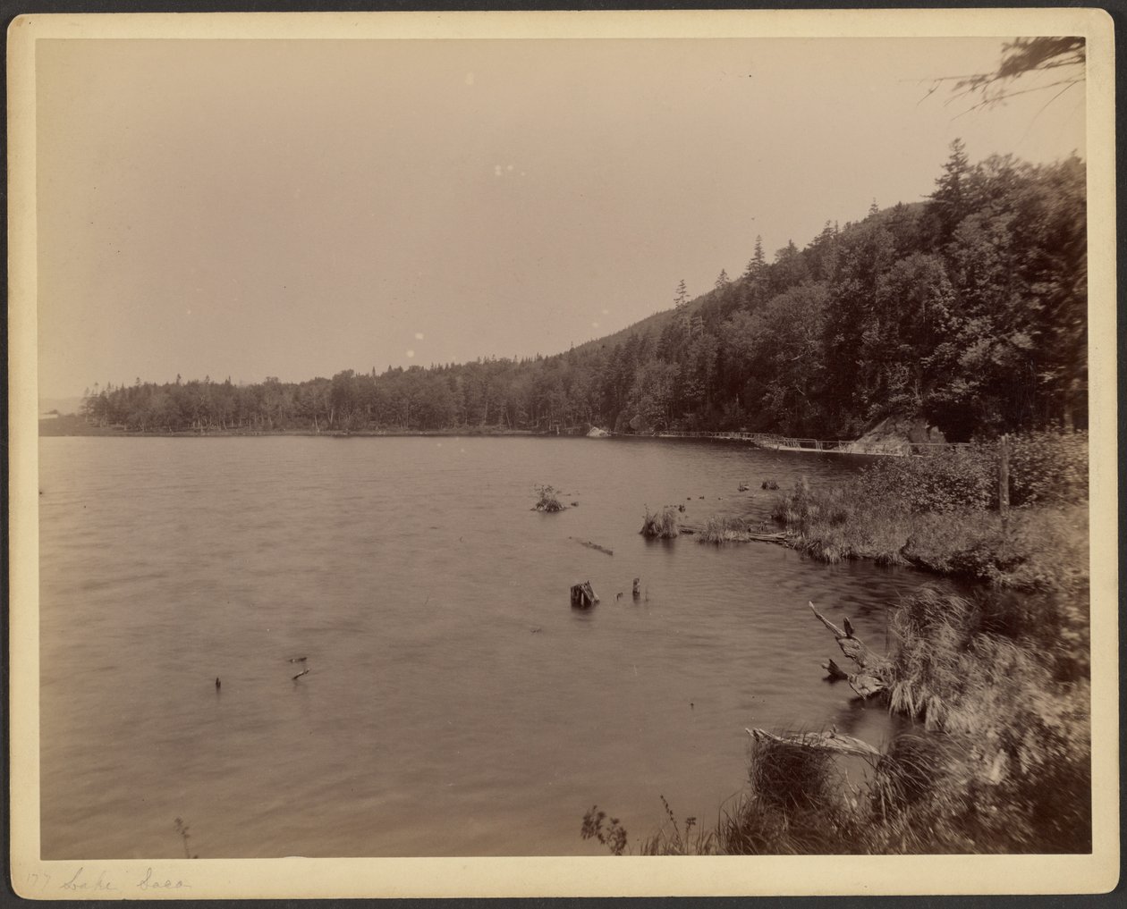 See Saco von Charles P. Hibbard