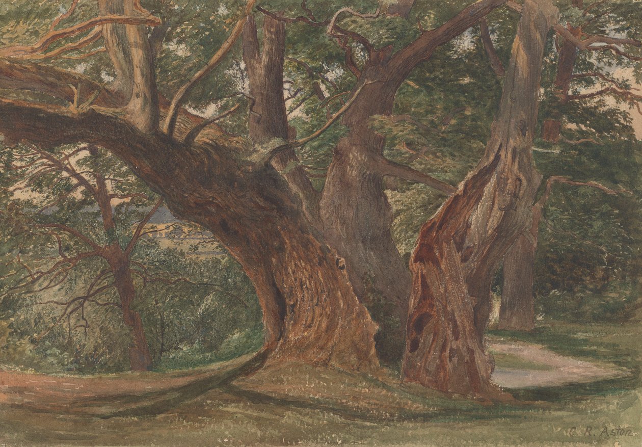 Bäume in einer Landschaft von Charles Reginald Aston