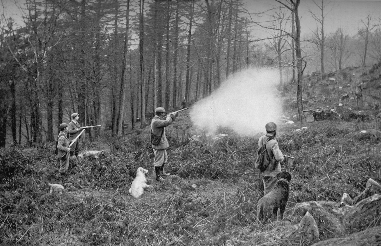 In den Dickichten, ca. 1902, 1903 von Charles Reid