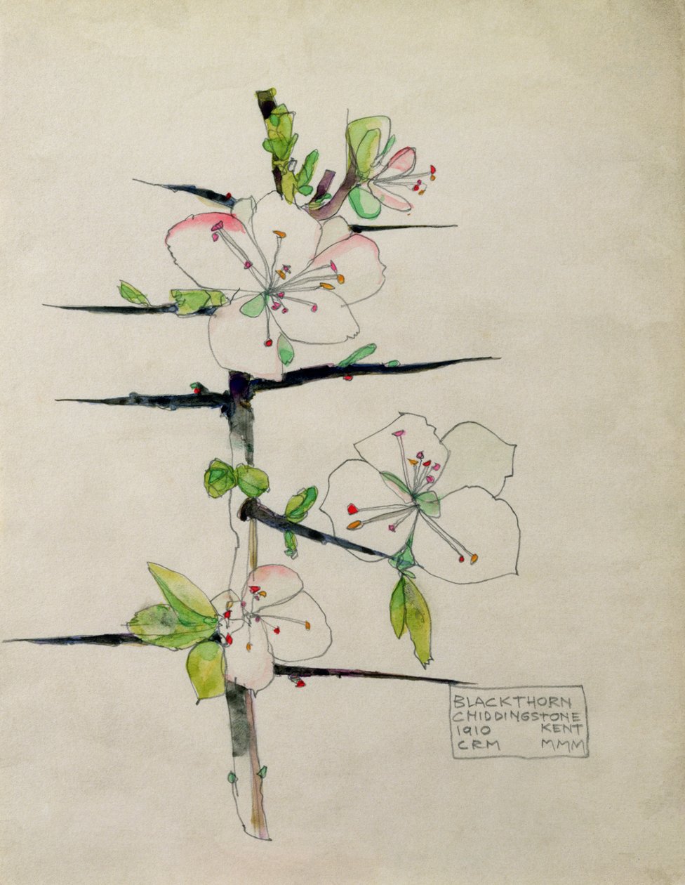 Schwarzdorn, Chiddingstone, Kent, 1910 von Charles Rennie Mackintosh