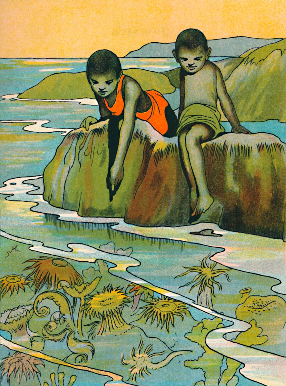 Ein Garten im Meer, 1912 von Charles Robinson