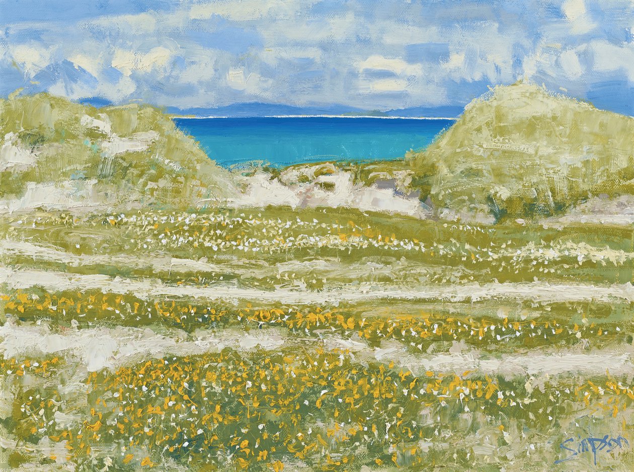 Blick auf Harris, 2014 von Charles Simpson