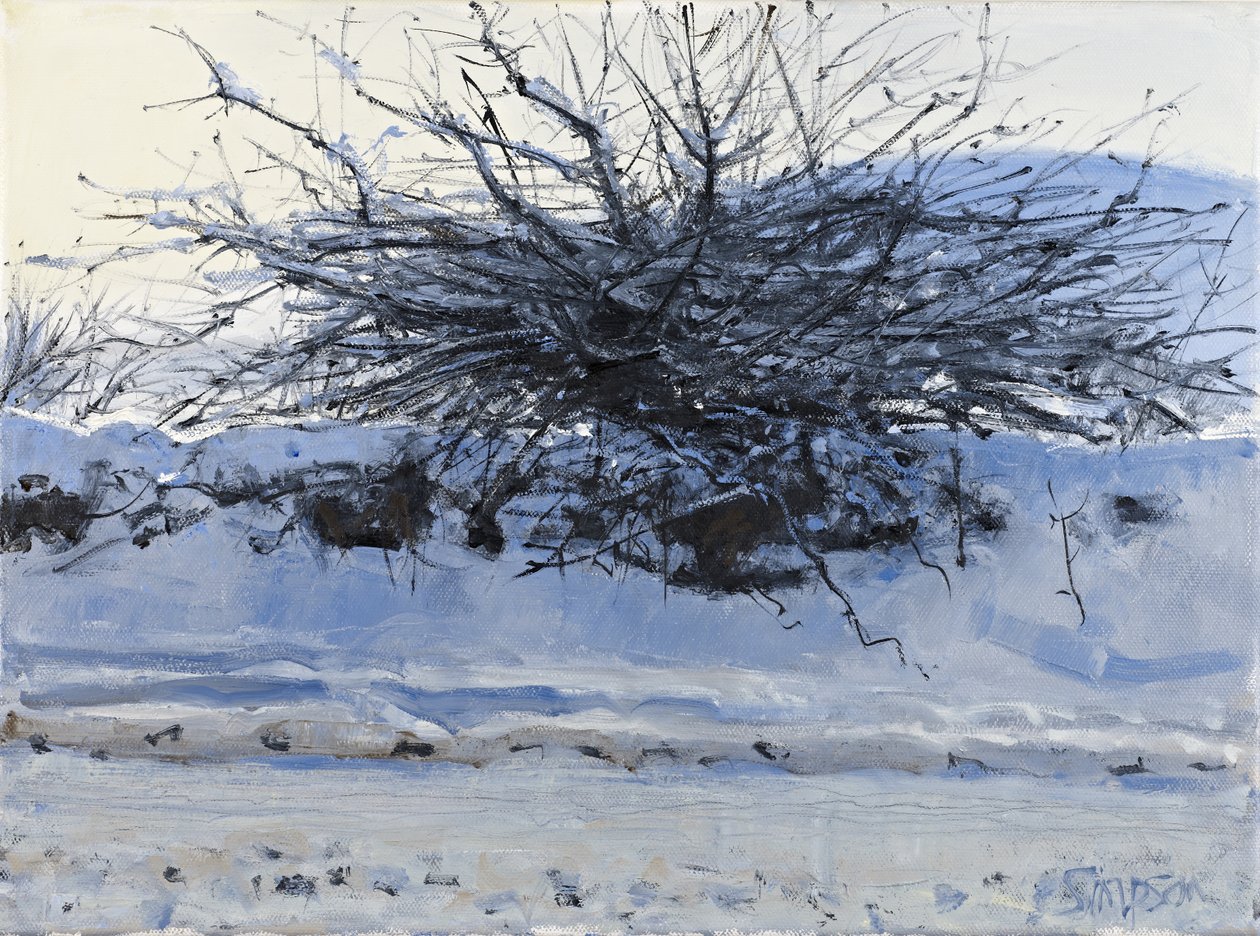 Weißdorn, 2011 von Charles Simpson