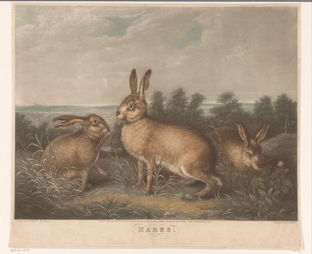 Drei Hasen von Charles Turner