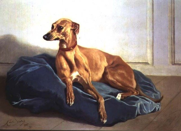 Studie eines Hundes von Charles Verlat