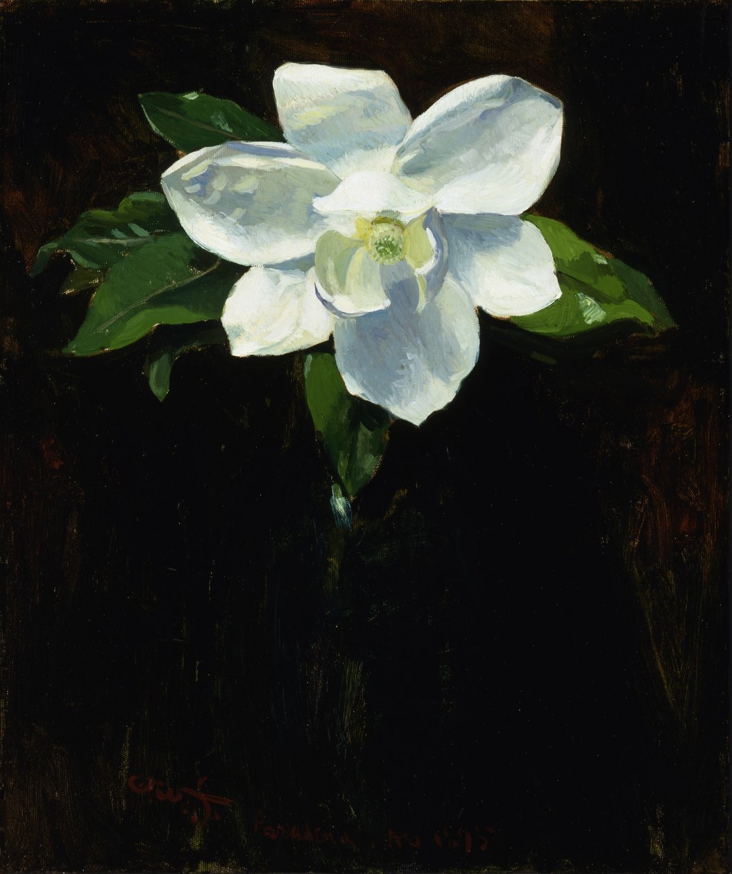 Magnolie von Charles Walter Stetson