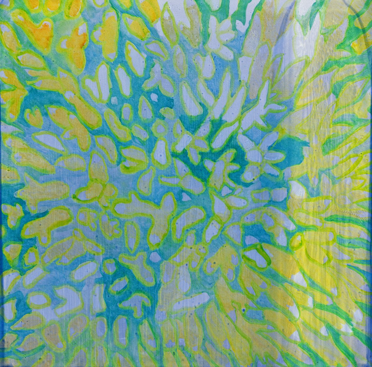 Acrapora, 2000 von Charlotte Johnstone