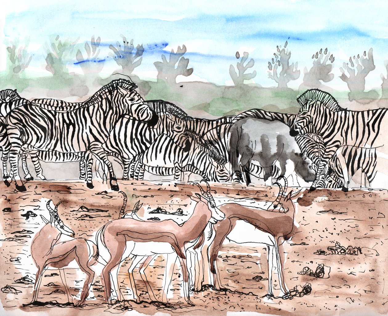 Safari 3 von Charlotte Orr