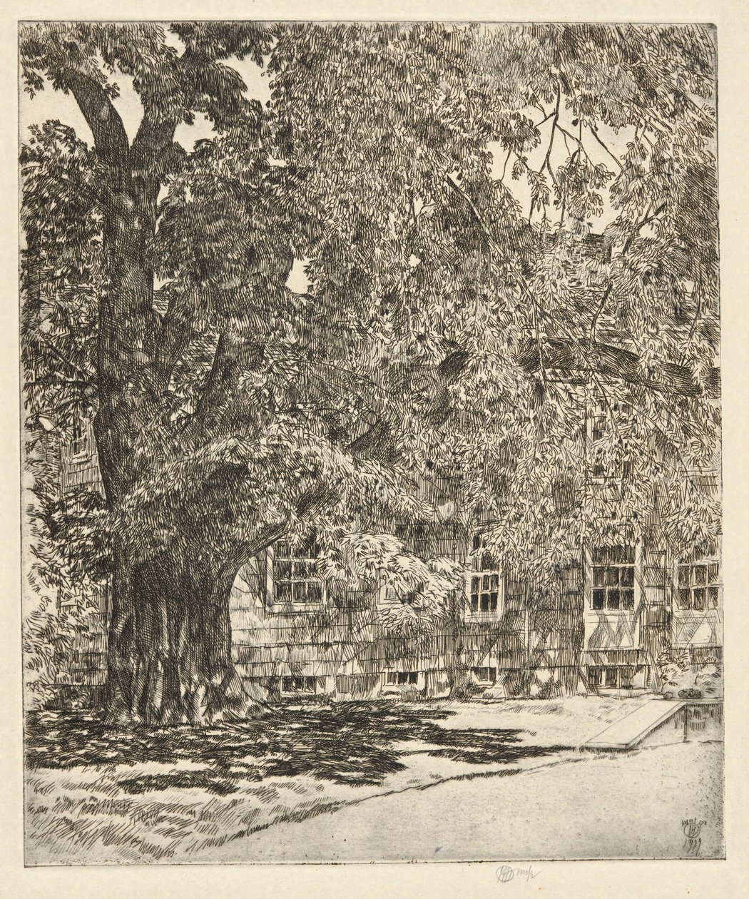 Riesige Ulme, 1929 von Childe Hassam