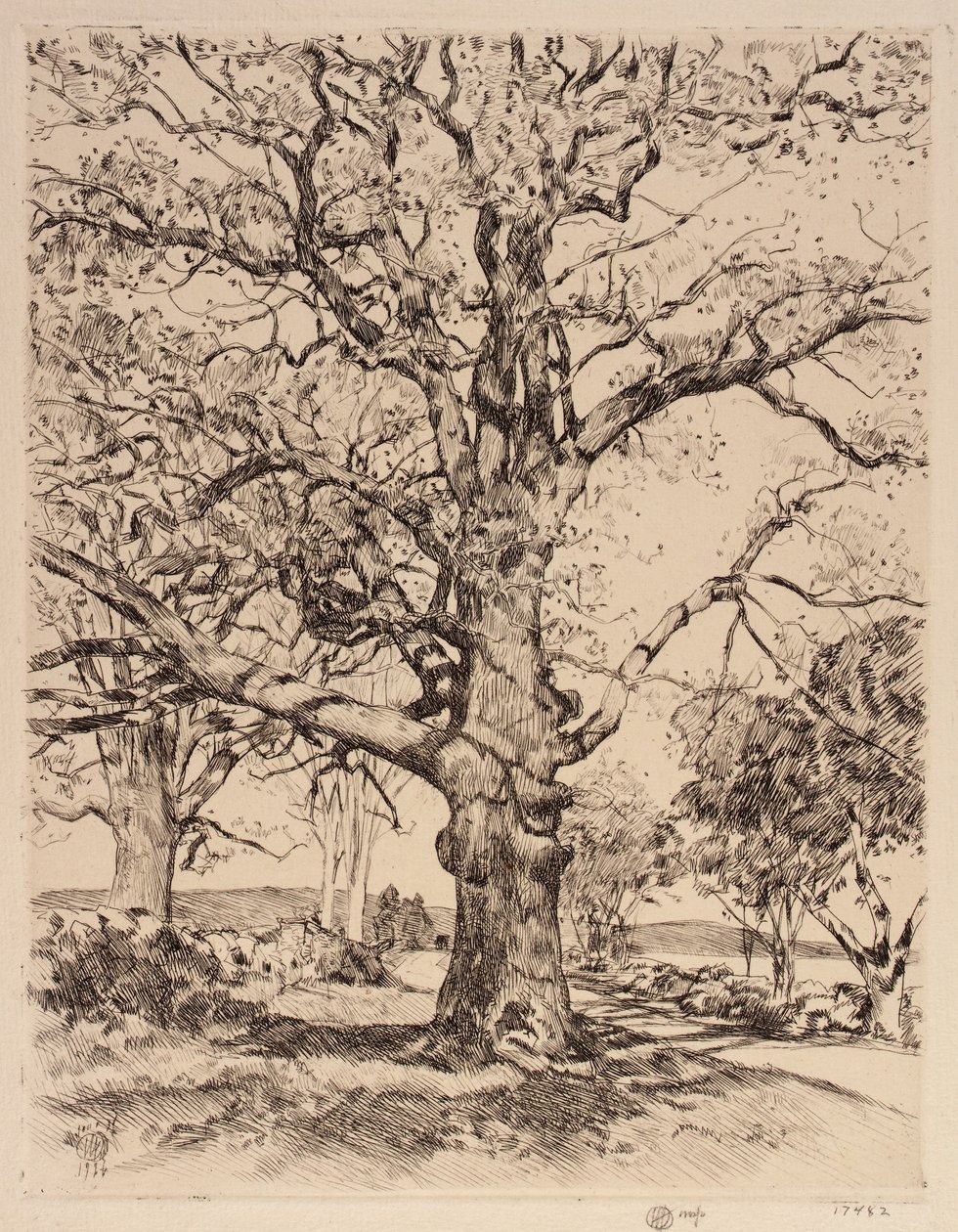 Wayside Inn Eichen im Frühling von Childe Hassam