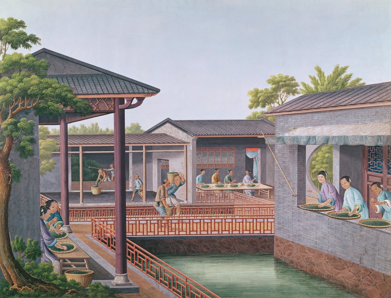 Teesortierung von Chinese School