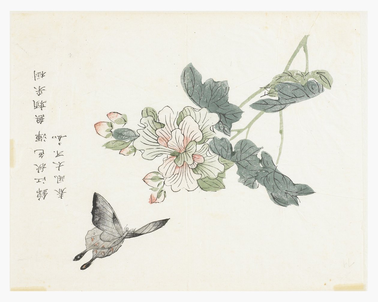Senfkorngarten von Chinese School