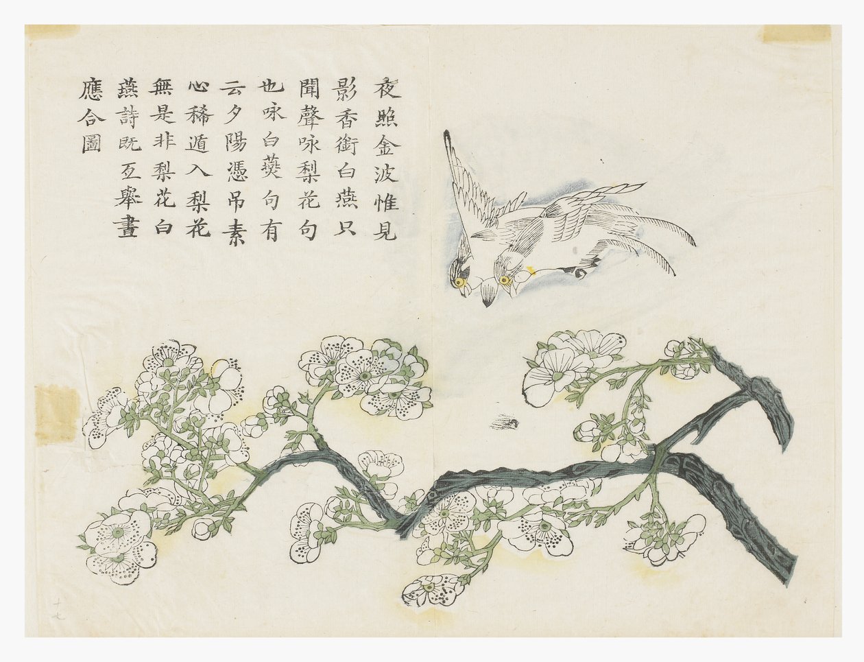 Senfkorn-Garten von Chinese School