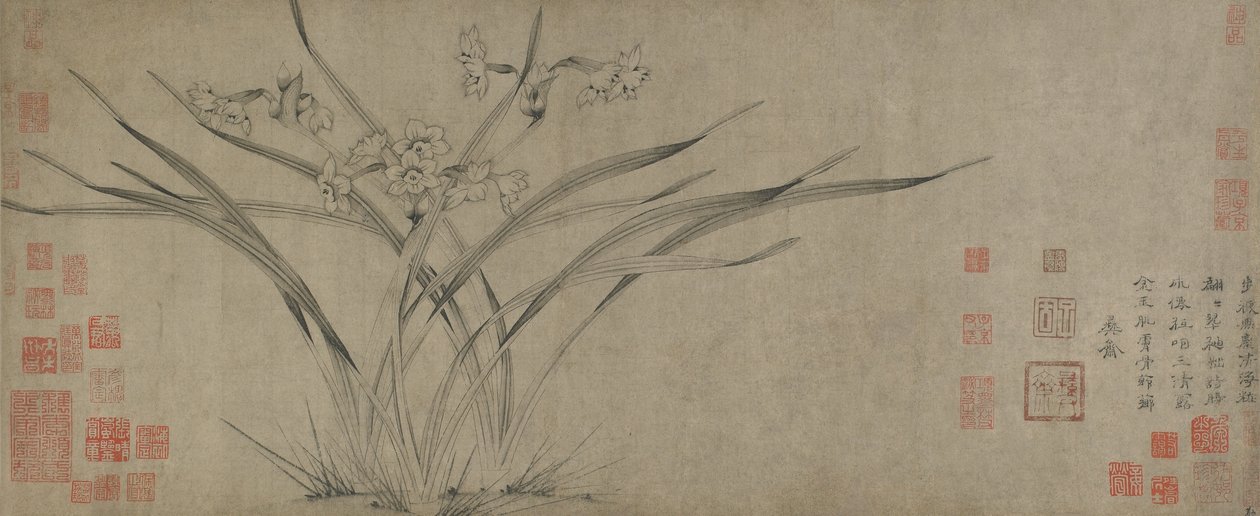 Narzisse, Song-Dynastie von Chinese School
