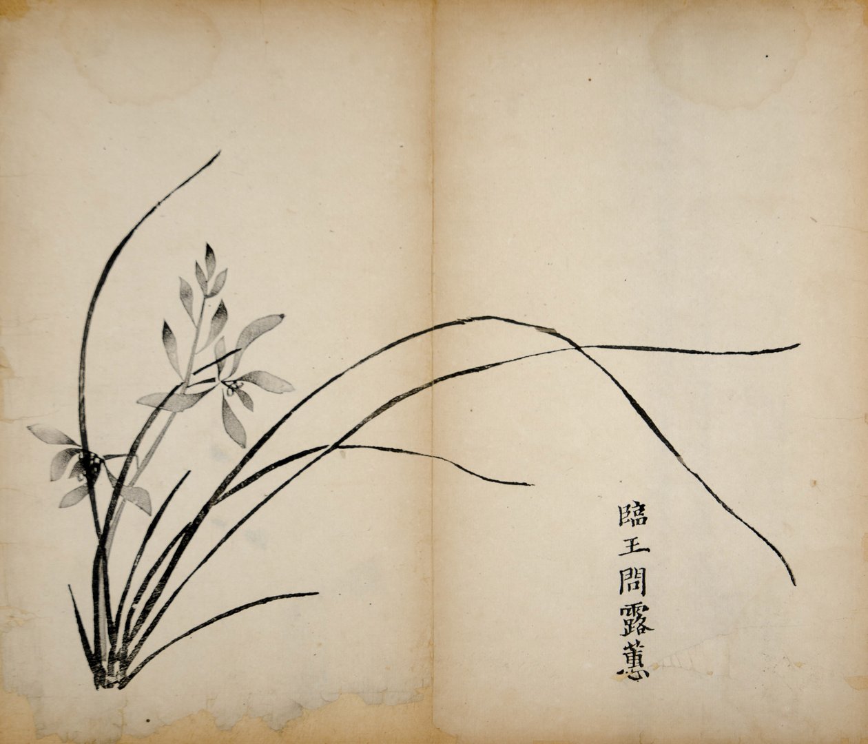 Zehn Bambus-Studio-Drucke, 1643 von Chinese School