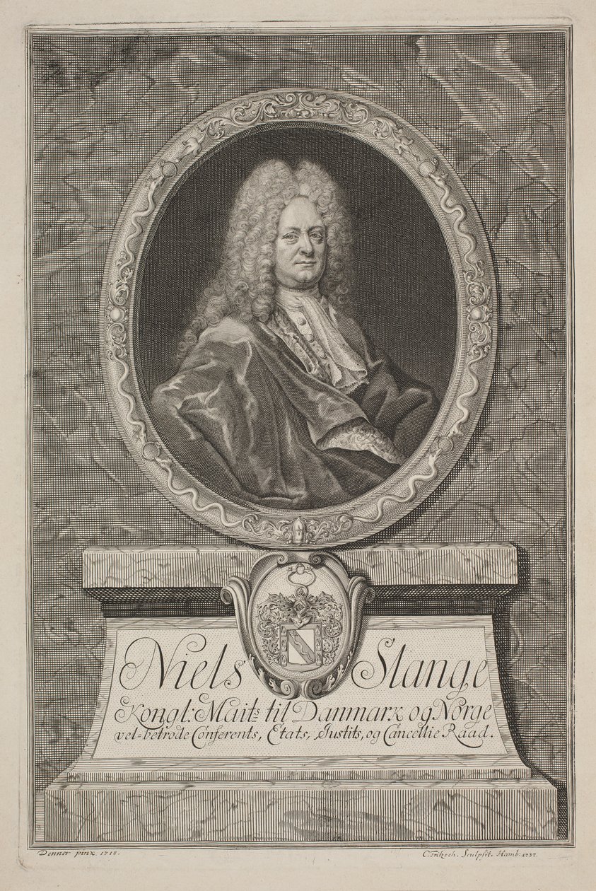 Niels Slange, Historiker von Christian D. Fritzsch