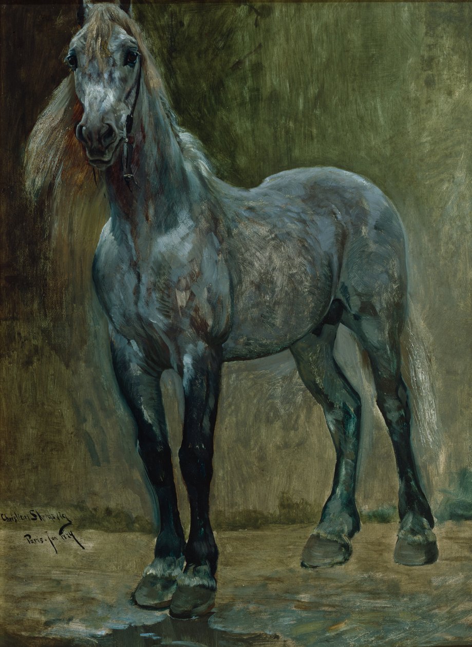 Ballade von Christian Eriksen Skredsvig