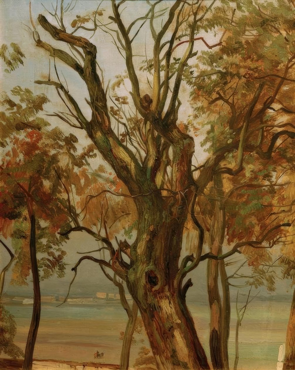 Baumstudie im Herbst (Elbufer bei Dresden) von Christian Friedrich Gille