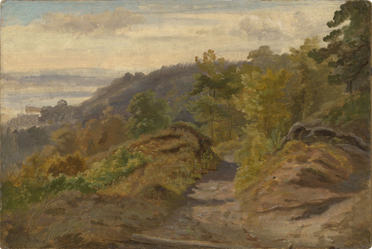Bergbach von Christian Friedrich Gille