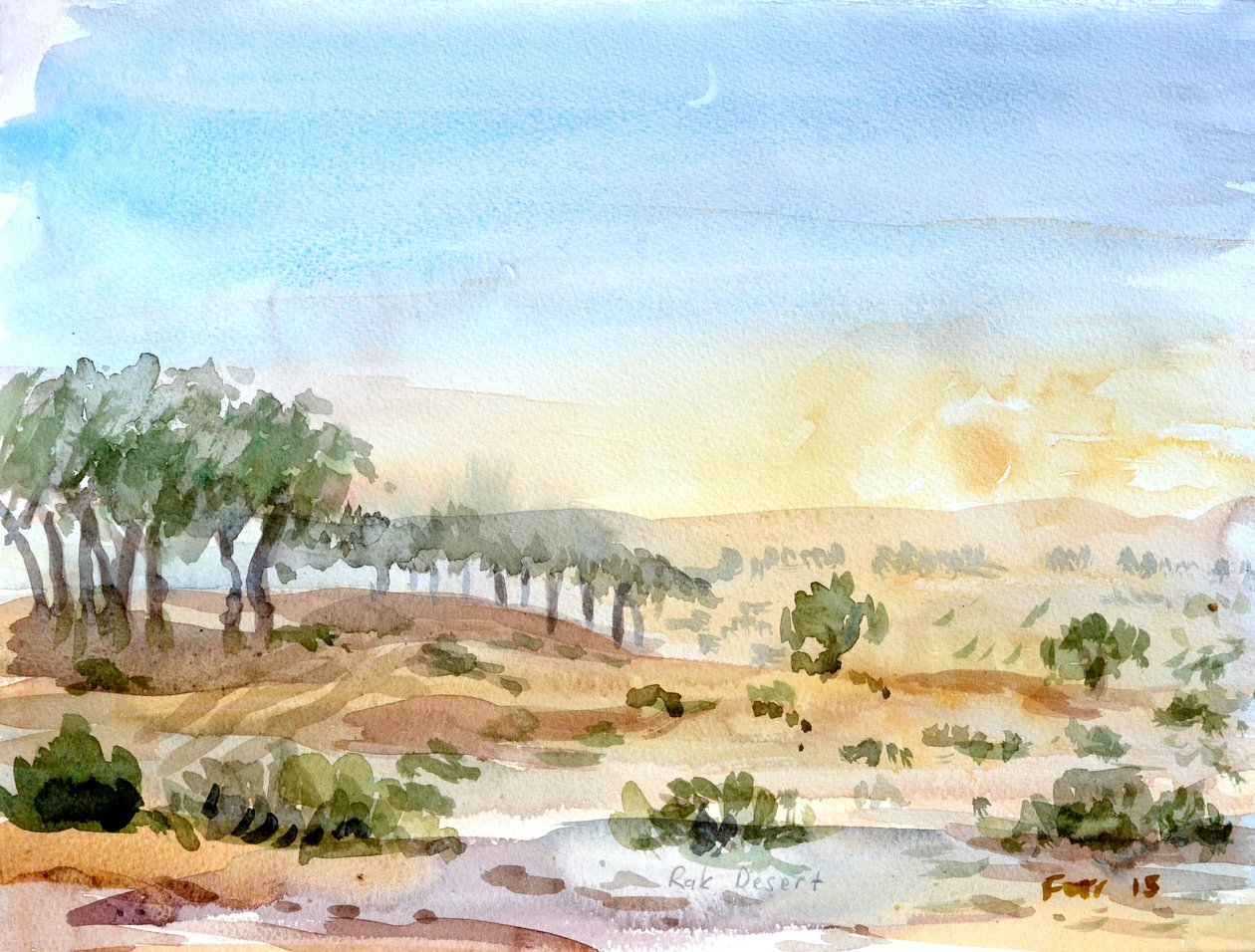 Rak-Wüste, 2016 von Christian Furr