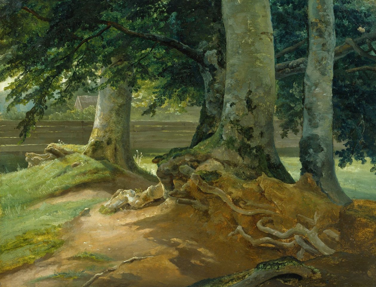 Buchen in Frederiksdal bei Kopenhagen von Christian Morgenstern