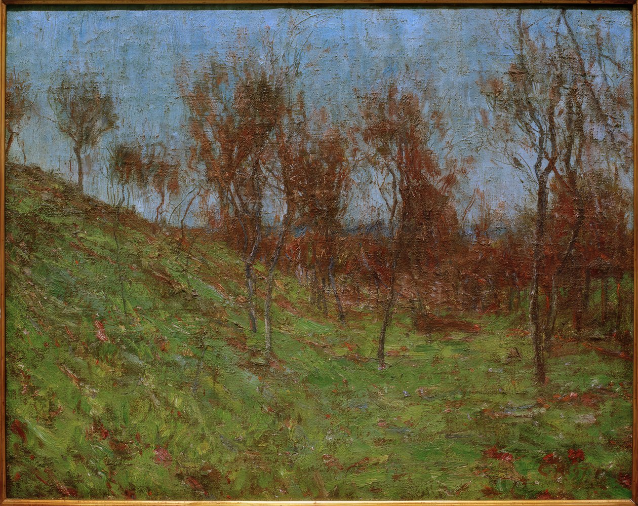 Wiesenabhang von Christian Rohlfs