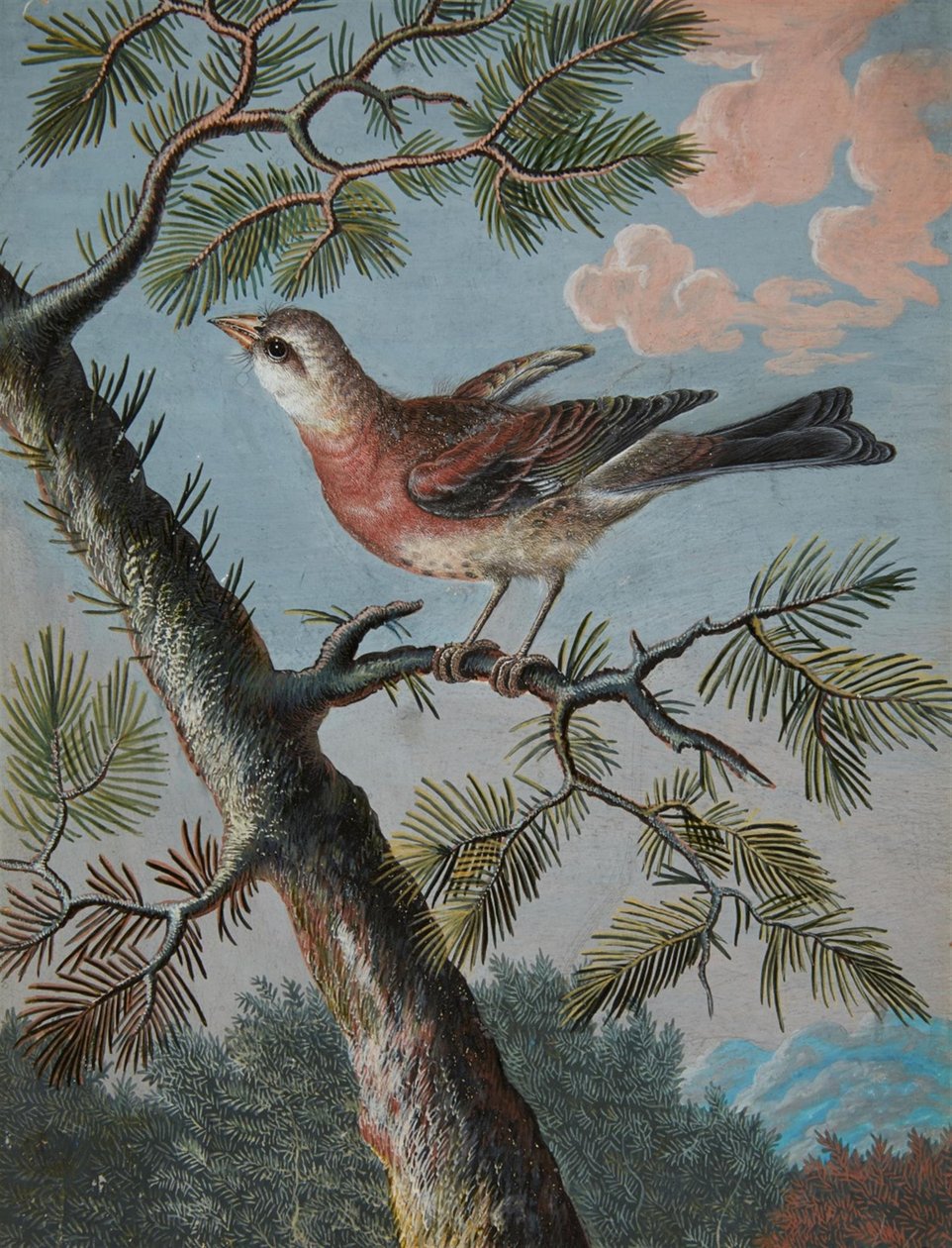 Singvogel in einem Immergrün von Christoph Ludwig Agricola