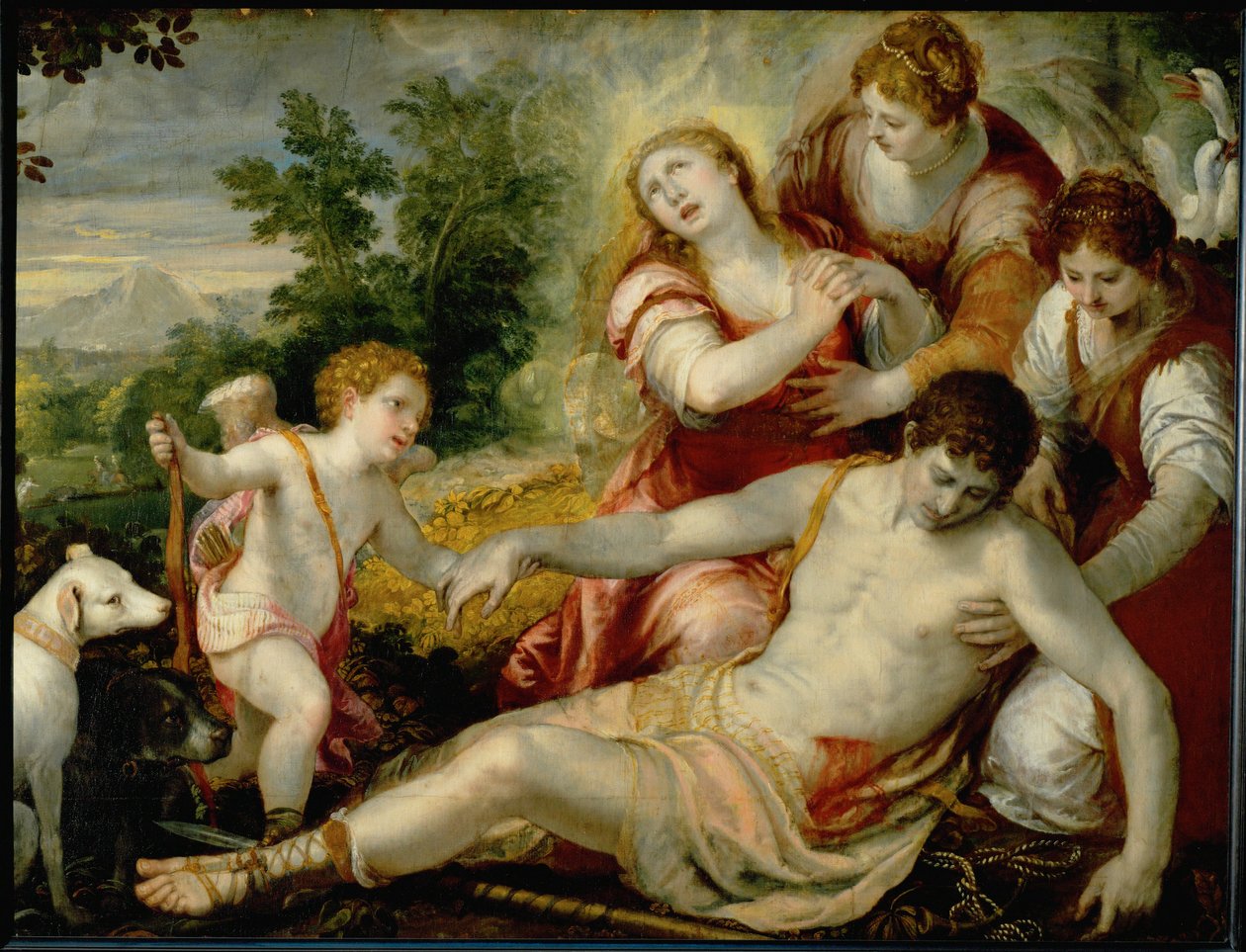 Tod des Adonis von Christoph Schwartz