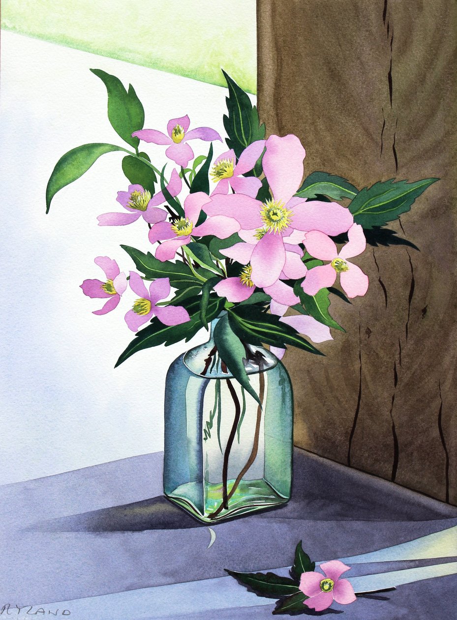 Stillleben Rosa Clematis von Christopher Ryland