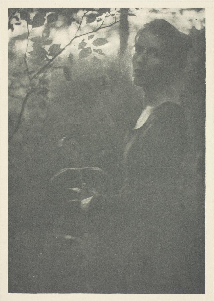 Waldrand von Clarence H. White