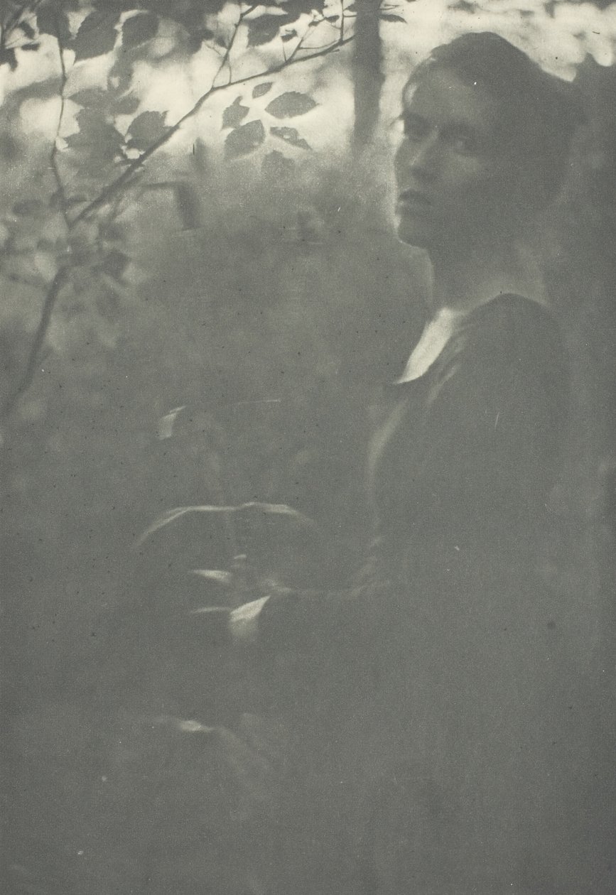 Waldrand, ca. 1899 von Clarence H White