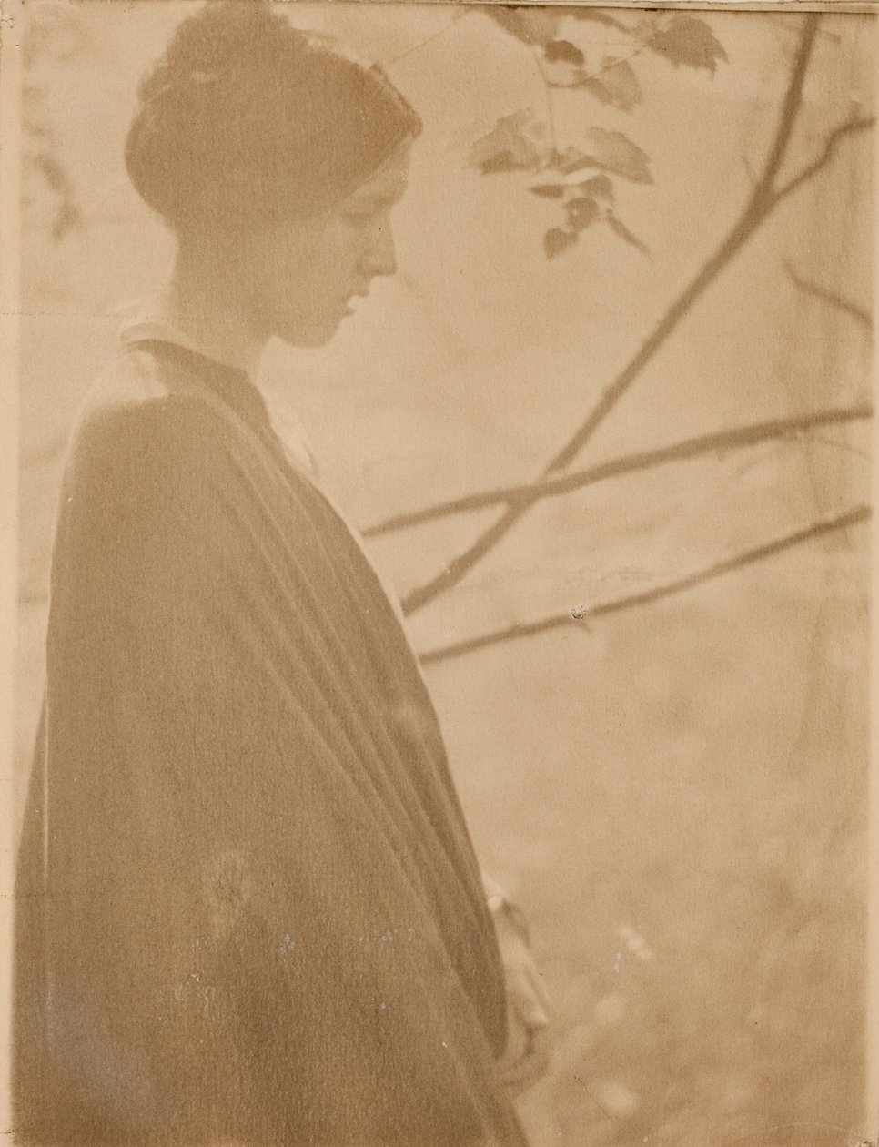 Sonnenlicht von Clarence H. White