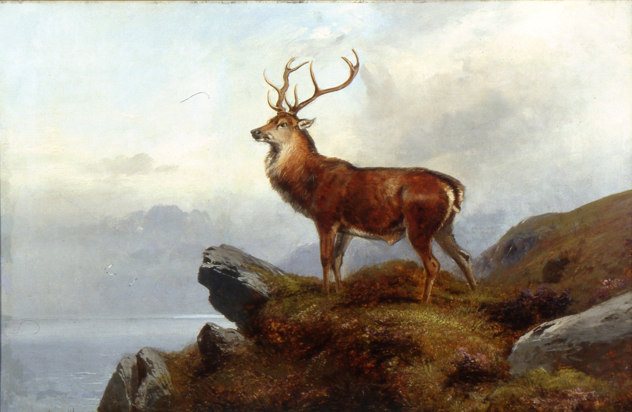 Auf der Lauer von Clarence Roe