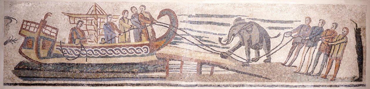 Ein Elefant wird auf ein Schiff verladen von Classical Antiquities
