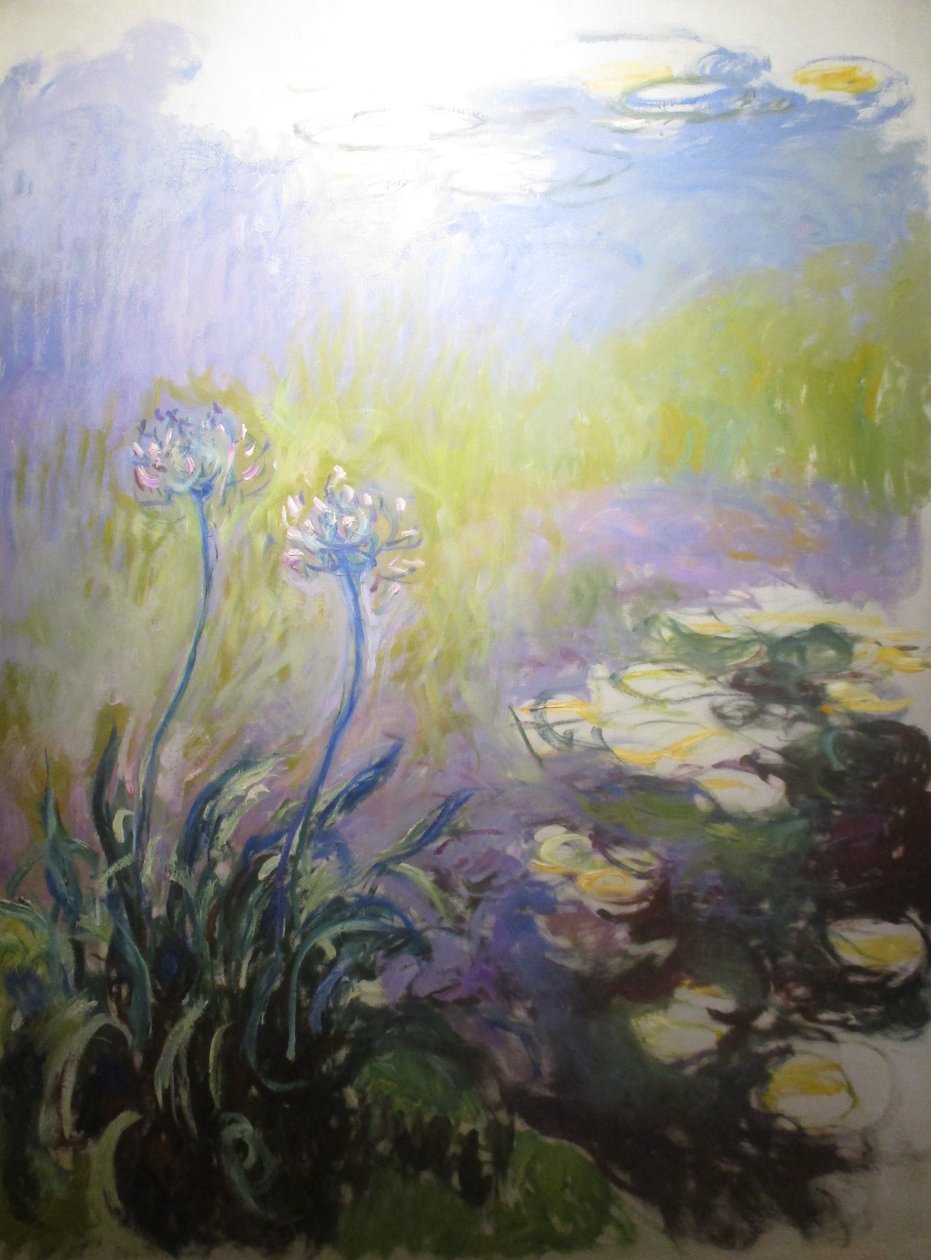Agapanthus von Claude Monet