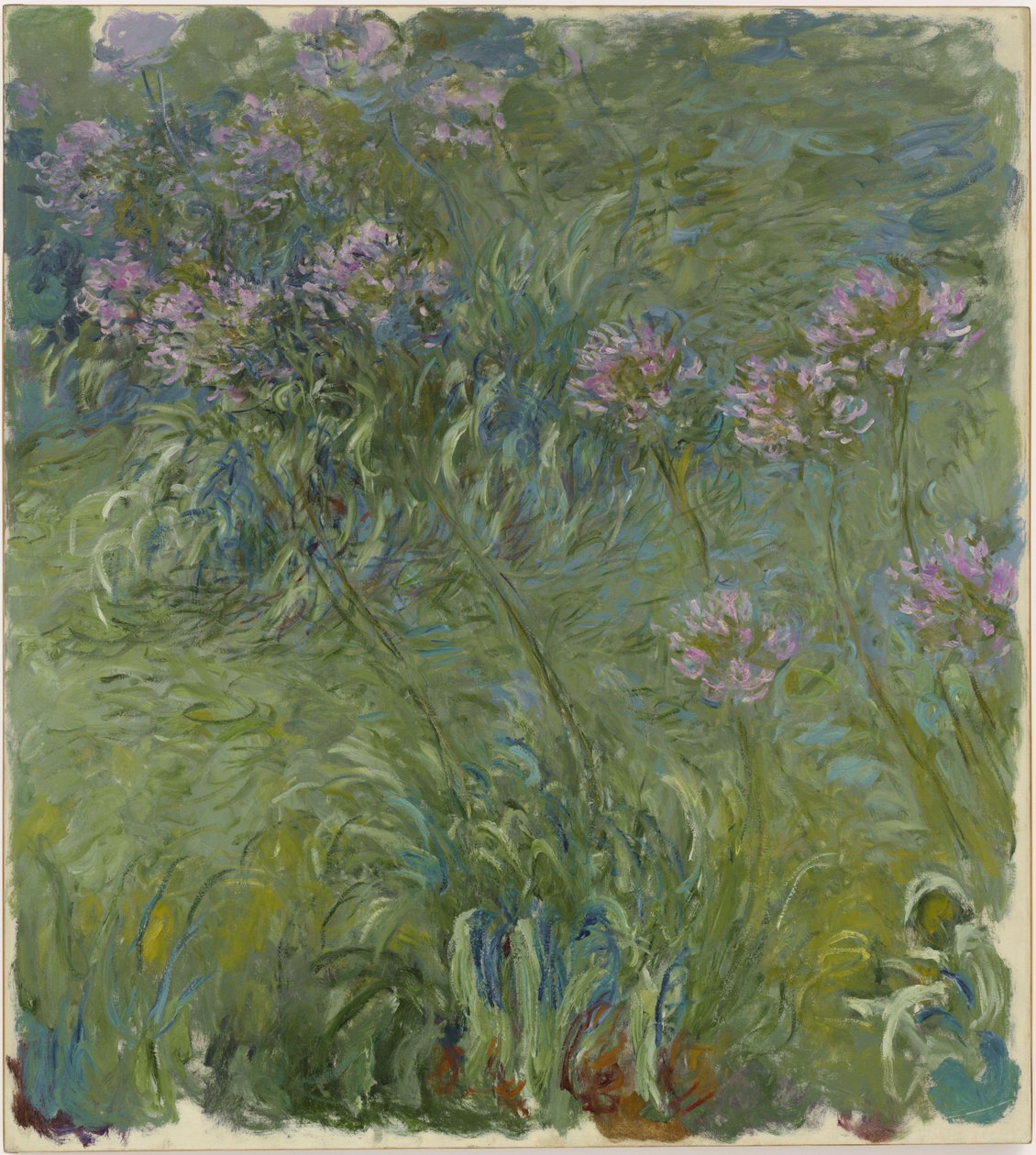 Agapanthus von Claude Monet