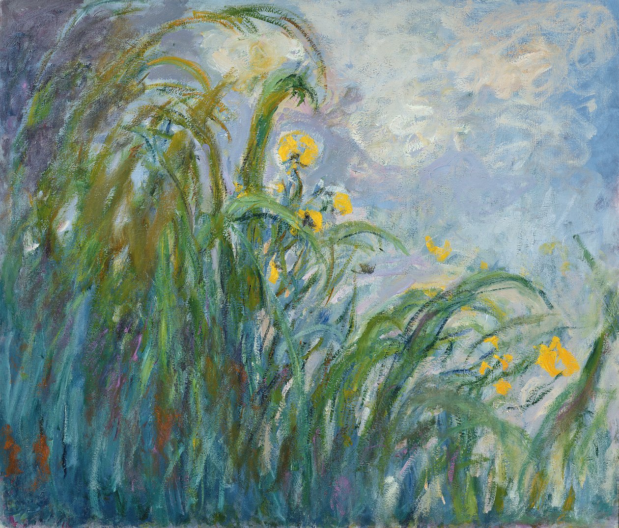 Die gelbe Iris von Claude Monet