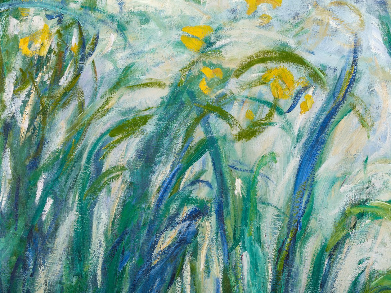 Gelbe und violette Iris, 1924-25 (Detail) von Claude Monet