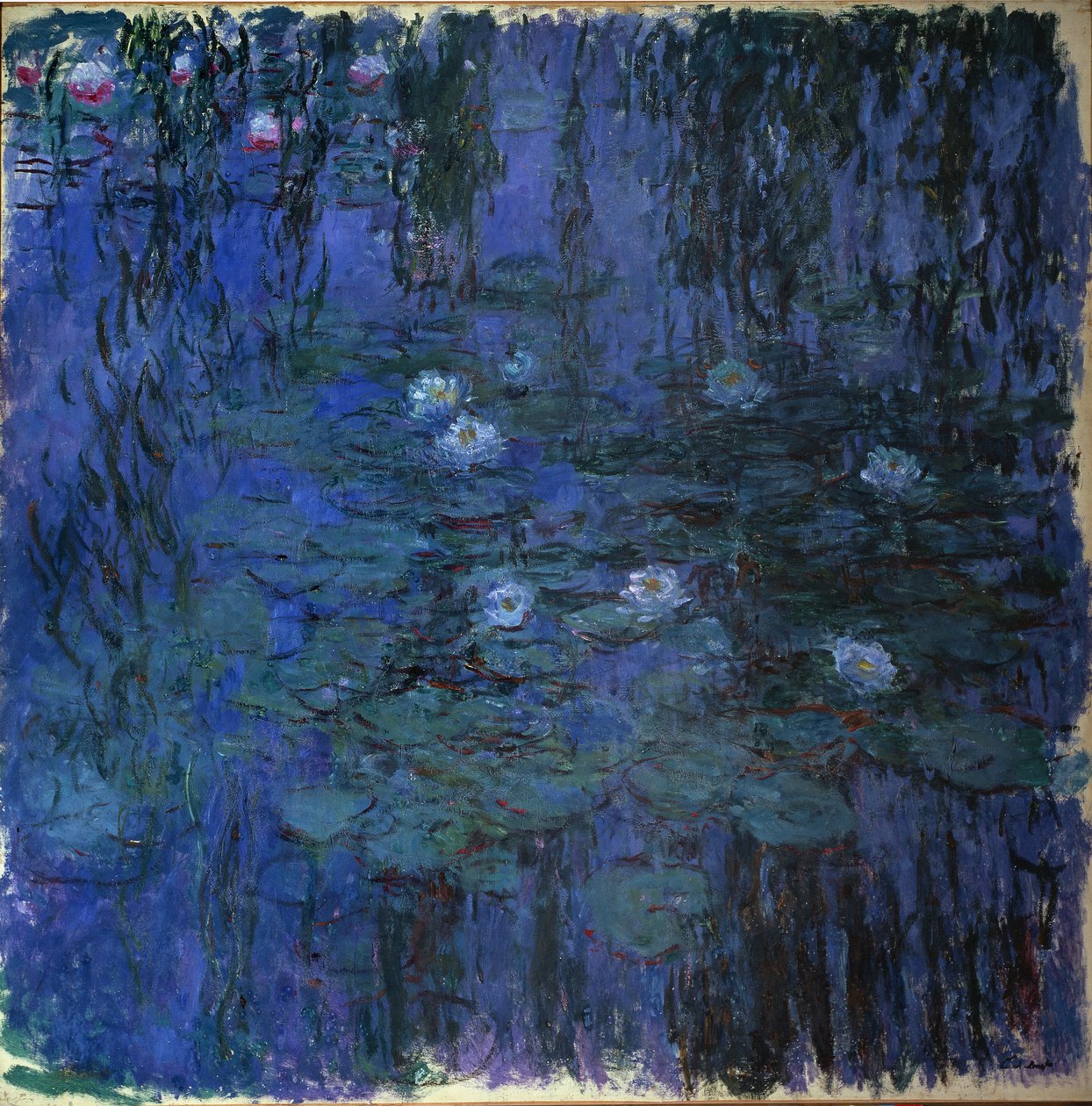 Blaue Seerose von Claude Monet