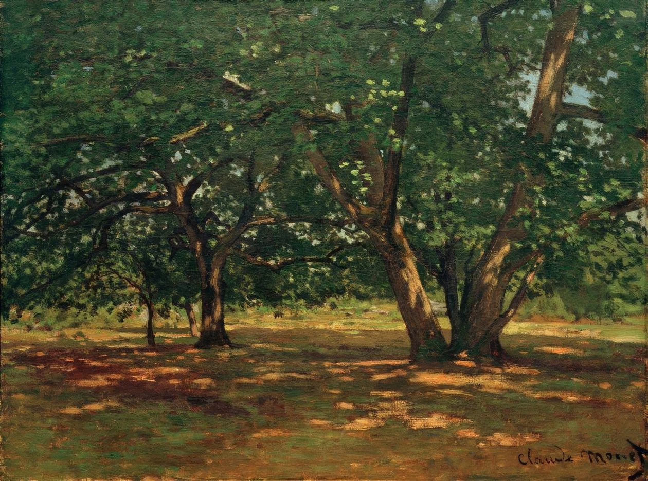 Wald von Fontainebleau von Claude Monet