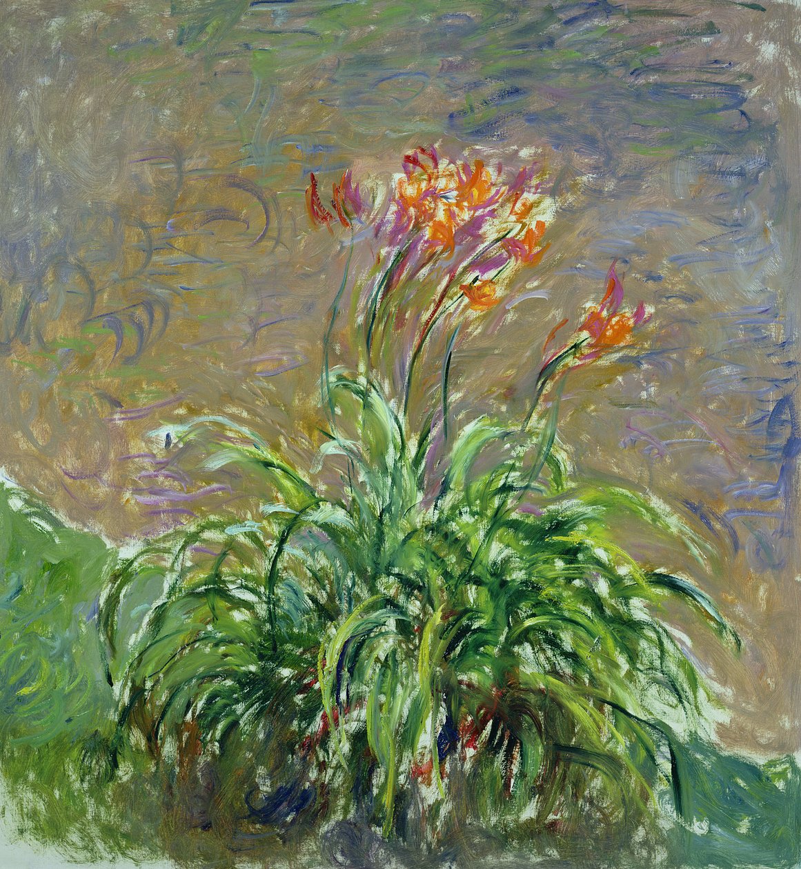 Hemerocallis von Claude Monet