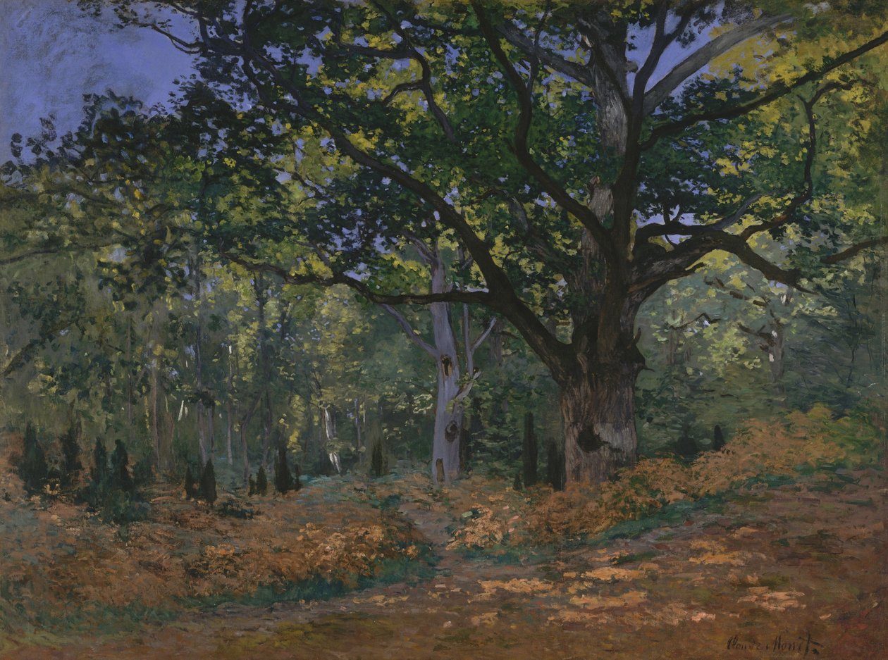 Die Bodmer-Eiche, Wald von Fontainebleau von Claude Monet